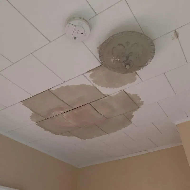 Ceiling Water Damage Repair in Hickory Creek, TX