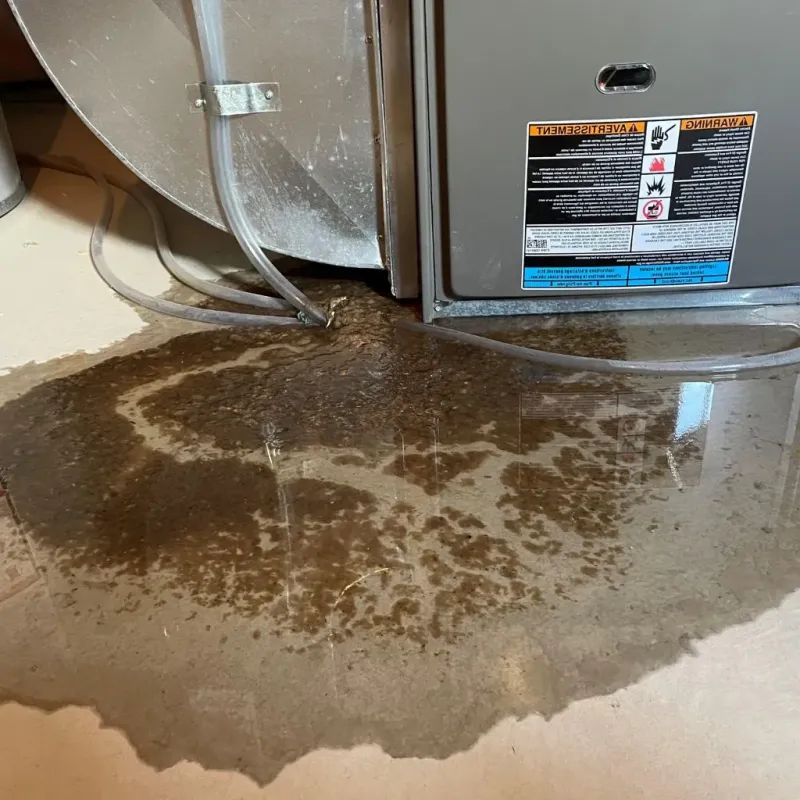 Pipe Burst and Leak Restoration in Hickory Creek, TX