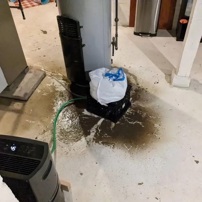 Sewage Backup Cleanup Service in Hickory Creek, TX